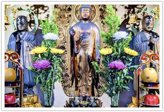 蟠龍寺と巡礼イメージ